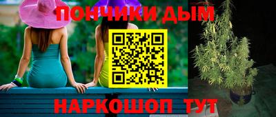соль ск Надым