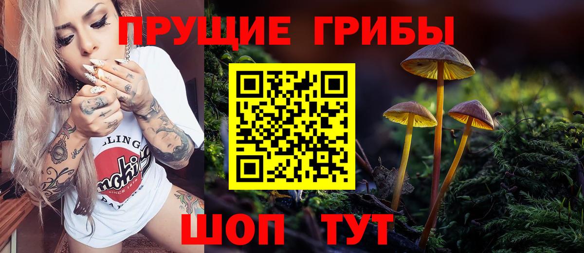 Галлюциногенные грибы Psilocybe  Вход с VPN  Псилоцибиновые грибы Psilocybe  Артёмовский 