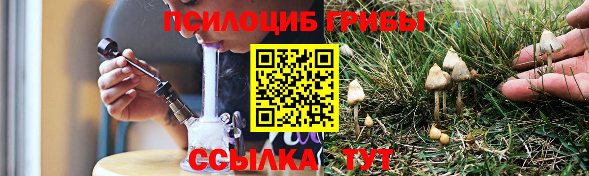 Псилоцибиновые грибы Magic Shrooms Артёмовский